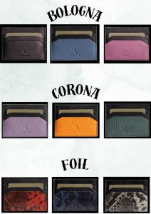 Collection Credit Cards Cases